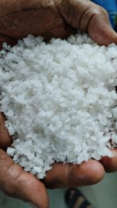 jual garam krosok untuk kebutuhan pabrik