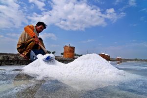 garam kasar dan garam halus